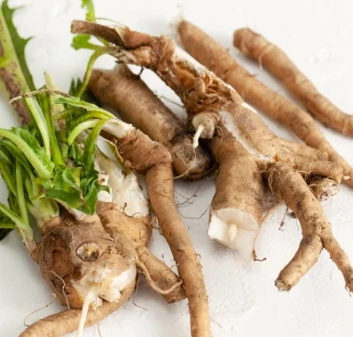Chicory Root Inulin used in SodaTide